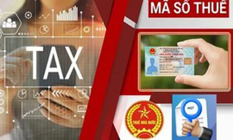 Cục Thuế phát cảnh báo nóng: Cho mượn CCCD để lập doanh nghiệp, bỏ địa chỉ kinh doanh, chưa giải thể đúng quy định sẽ bị rà soát