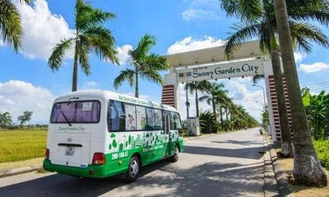 CEO Group rót gần 175 tỷ đồng đầu tư vào mảng giáo dục