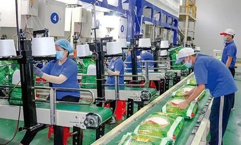 Trung An đặt mục tiêu lãi trở lại trong năm 2026, thúc đẩy loạt dự án nông nghiệp và năng lượng