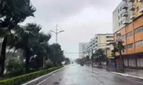 Móng Cái, Quảng Ninh gió mạnh dần lên, nhiều cây xanh ngã, mái tôn bị hất văng