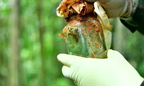 Phát hiện năm hài cốt liệt sĩ cùng nhiều di vật có thể lưu thông tin