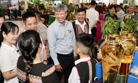 Phó Chủ tịch Đà Nẵng: Phải đi nhanh hơn để sâm Ngọc Linh cạnh tranh với thế giới