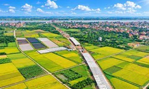 Cầu Vân Phúc vươn nhịp nối Hà Nội - Phú Thọ
