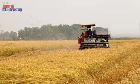 An Giang: Nâng tầm giá trị xuất khẩu, tạo lực đẩy tăng trưởng hai con số