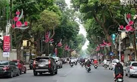 Trang trí hoa, cây cảnh, tuyên truyền cổ động chào mừng kỷ niệm 1010 năm Thăng Long - Hà Nội, ngày Giải phóng Thủ đô 10/10, Đại hội Đảng lần thứ XVII