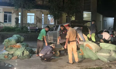 Bắt gần 800 kg thuốc lá nguyên liệu không rõ nguồn gốc xuất xứ