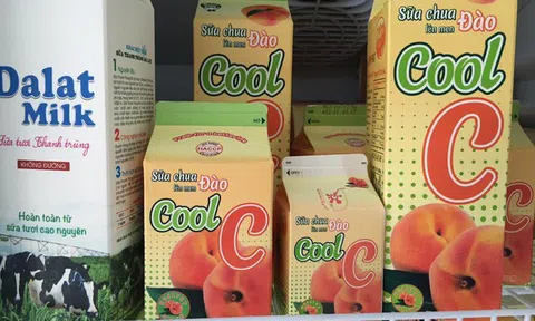 Sữa chua: Từ phát minh tình cờ cách đây hơn 5.000 năm đến "món ăn quốc dân" trong tủ lạnh nhà nào cũng có