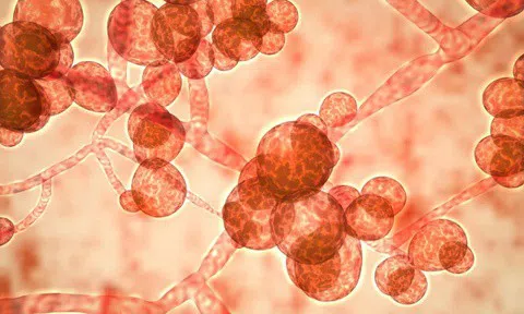 Hong Kong đối mặt căn bệnh chết người giữa đại dịch Covid-19