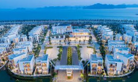 Tổ hợp BĐS Bãi Cháy - Thế giới đa trải nghiệm bên bờ vịnh di sản