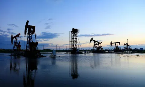 Giá xăng dầu hôm nay 26/10: Giảm mạnh trong phiên giao dịch đầu tuần