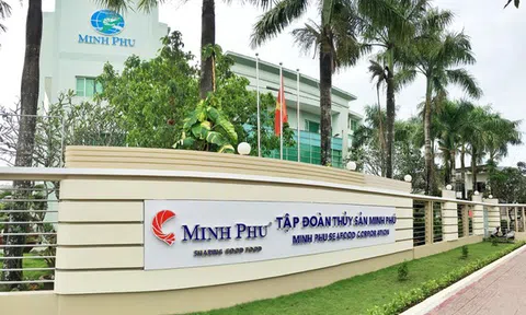 Công ty mẹ Minh Phú (MPC): Lãi 9 tháng giảm 14%, vốn hóa TTCK “bốc hơi” hơn 900 tỷ đồng sau một tháng