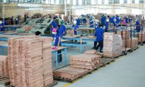 Các nước gia tăng phòng vệ thương mại với Việt Nam