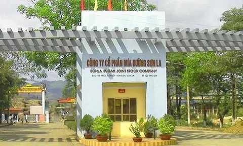 Mía đường Sơn La hoàn thành hơn nửa kế hoạch lợi nhuận năm ngay trong quý I