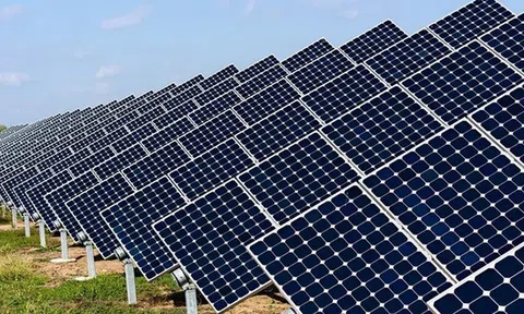 Cần dòng vốn cho tín dụng xanh