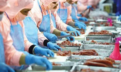 Diễn biến nhóm thủy sản quý III/2020: Kinh doanh chật vật, cổ phiếu phân hóa