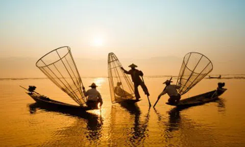 Cơ điện lạnh REE muốn gia tăng lượng cổ phiếu quỹ tại vùng giá đỉnh