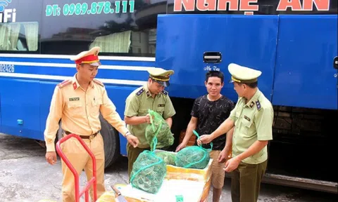 Quảng Ninh: Phát hiện 200kg cua lông không rõ nguồn gốc