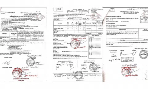 Thẩm phán Phạm Thị Hoàng Phúc sử dụng bút lục có dấu hiệu làm giả để ban hành bản án?