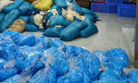 Thu giữ lượng găng tay cao su y tế bẩn lớn nhất tính đến nay