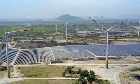 Năng lượng tái tạo - xu hướng phát triển nền kinh tế xanh