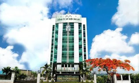 Điện Gia Lai (GEG) muốn tăng vốn điều lệ lên hơn 2.700 tỷ đồng
