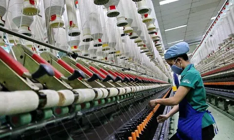 Thực trạng doanh nghiệp dệt may sau quý III (bài 2): Điểm sáng le lói