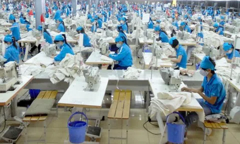 Cổ phiếu GIL tăng mạnh sau báo lãi khủng quý III