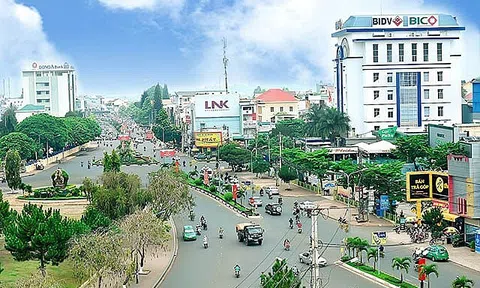 Thông báo lịch đấu giá quyền sử dụng đất tại huyện Chư Prông, tỉnh Gia Lai