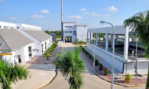 Phiên giao dịch ngày 12/11/2020: Những cổ phiếu cần lưu ý