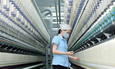 Thực trạng doanh nghiệp dệt may sau quý III (bài 3): Chờ bứt phá tại thị trường Mỹ