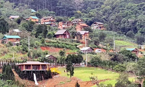 Phân lô đất nền tự phát gắn mác khu nghỉ dưỡng Lâm Đồng