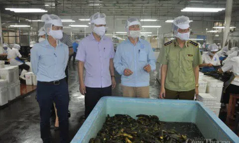 Hòa Bình xây dựng cộng đồng hành động vì an toàn thực phẩm