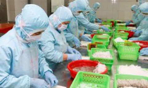 Xuất khẩu thủy sản 10 tháng đầu năm đạt gần 7 tỷ USD