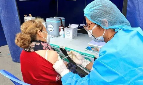 Vaccine Covid-19 của Pfizer: Hiệu quả 95% nộp đơn xin khẩn cấp lên FDA