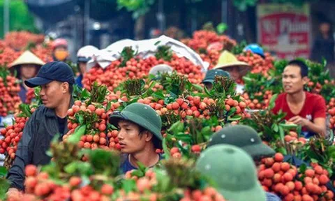 5 nhóm ngành, mặt hàng giúp Việt Nam hưởng lợi nhiều nhất từ RCEP