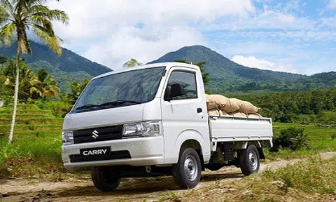 Xe tải nhẹ - Ý tưởng khởi nghiệp giữa đại dịch