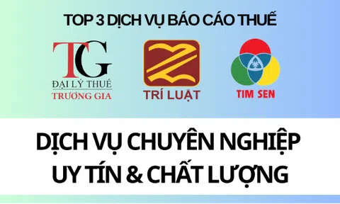 Top 3 công ty dịch vụ báo cáo thuế uy tín tại TP.HCM