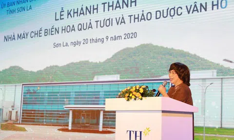 'Tiếp sức' cho Tây Bắc bằng chuỗi dự án xanh của tập đoàn TH