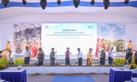 Dự án bò sữa lớn nhất Tây Nguyên đồng hành cùng nông dân vùng biên giới