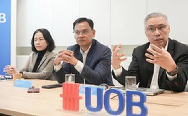 Chuyên gia UOB: Tỷ giá USD/VND biến động khoảng 2-3% trong năm 2026