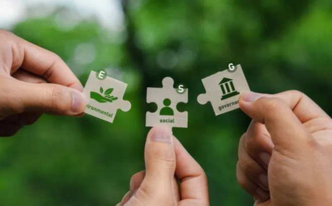 'Cơn lốc' ESG và cuộc đua sinh tồn của những người khổng lồ