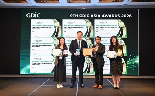 Yili, tập đoàn sữa số 1 Châu Á giành loạt giải thưởng tại GDIC Asia 2026