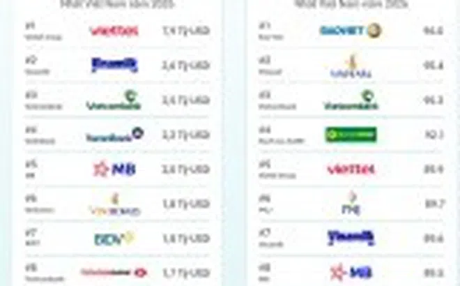 Tổng giá trị của 100 thương hiệu hàng đầu Việt Nam đạt 43 tỷ USD