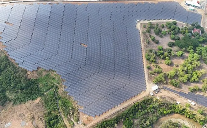 Trinasolar cung cấp mô-đun cho dự án điện mặt trời Bugallon công suất 25 MWp của PetroGreen tại Philippines