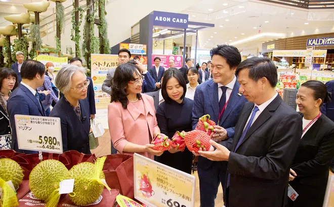 Dấu ấn 10 năm Tuần hàng Việt Nam tại AEON Nhật Bản: Thúc đẩy tiêu dùng hàng Việt và giao lưu văn hóa Việt – Nhật